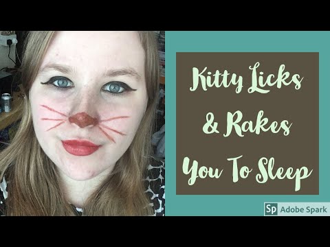 ASMR - Kitty Licks & Rakes You To Sleep