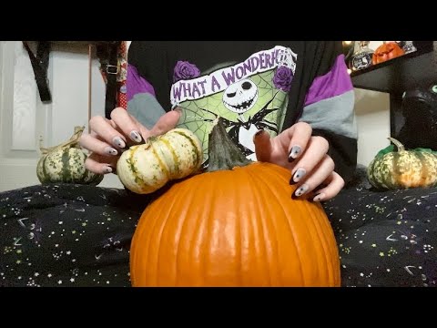 ASMR | Relaxing Tapping & Scratching on Pumpkins! 🎃