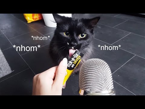[ASMR] My cat does a Mukbang! | Cat Purring and Eating Sounds