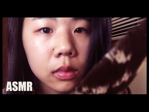 ASMR | Brushing and Whispering~