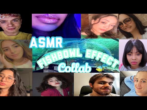 ASMR~ FISHBOWL Effect COLLAB (3K)( AQUARIUM)🌊🤍♡🐠