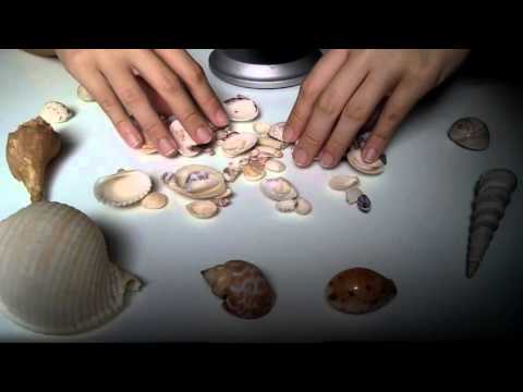 [ASMR] Seashells Multilayered (Blowing, Water sounds)