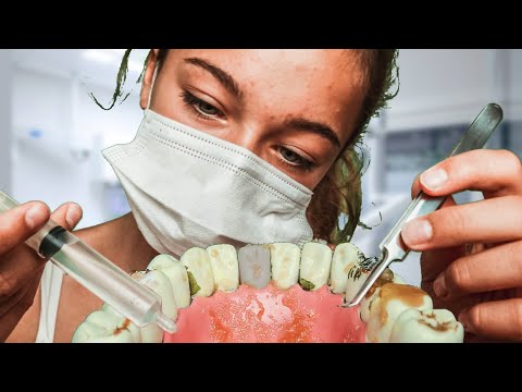 (ASMR) DENTIST ROLEPLAY - RELAXING CLEANING!