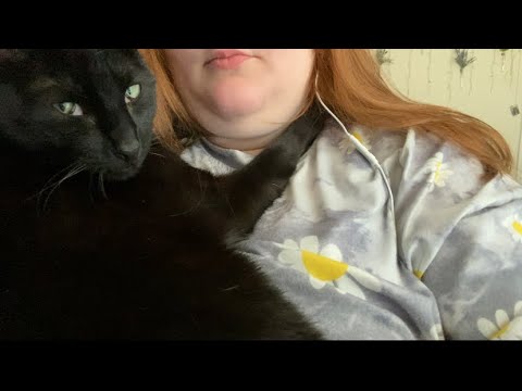 ASMR | Kitten Purrs and Snuggles | Laid- Back ASMR