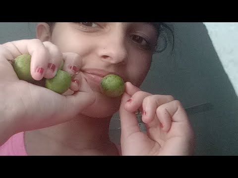 Asmr- Eating the samething before