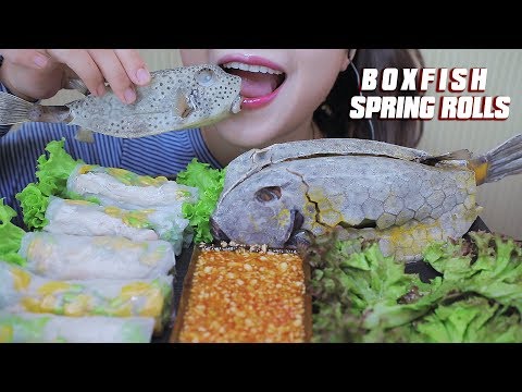 ASMR BOXFISH SPRING ROLLS (EXOTIC FOOD) CHEWY EATING SOUNDS | LINH-ASMR