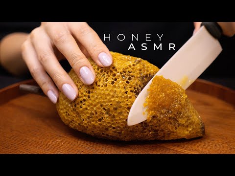 ASMR of a Honeycomb on Branch (No Talking)