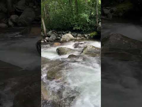 Relaxing Water Sounds and Nature Running Water