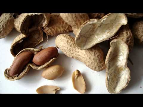 (3D binaural sound) Asmr cracking and rustling sounds of peeling peanuts