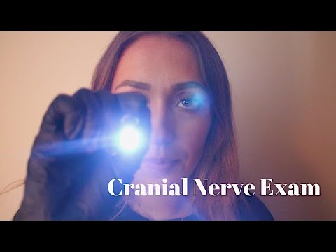 ASMR Cranial Nerve Exam Roleplay   Medical Personal Attention