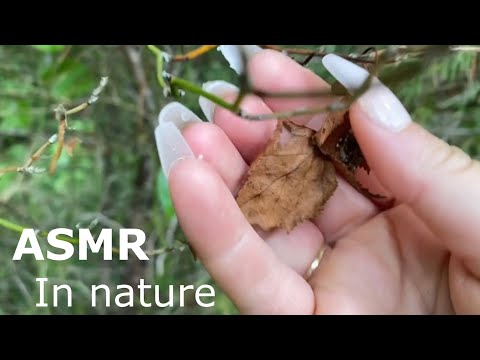 ASMR - Everything NATURE! ☀️🌿 | Fast build up camera tapping | Up close scratching onto camera!
