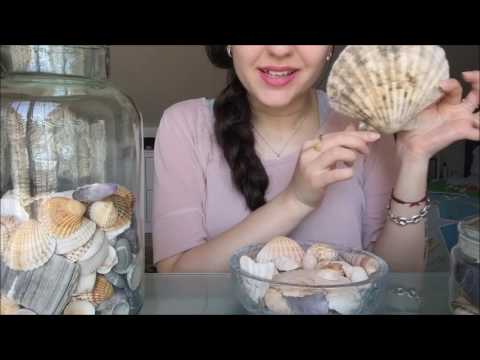 ASMR Relaxing Seashells Collection-Show and tell-Tapping