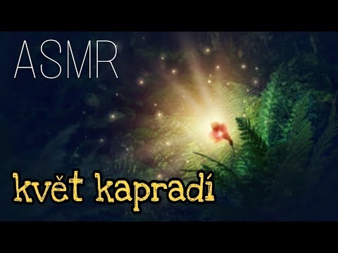ASMR Czech / Květ kapradí + píseň