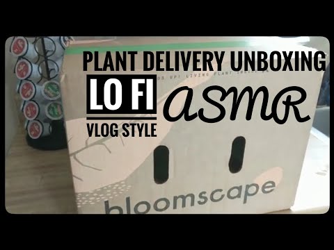 Bloomscape Plant Delivery Unboxing || Lo Fi Vlog Style ASMR