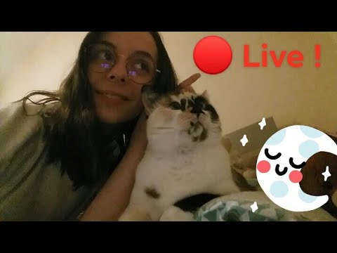 🔴 Et c'est le live (feat mon chat)