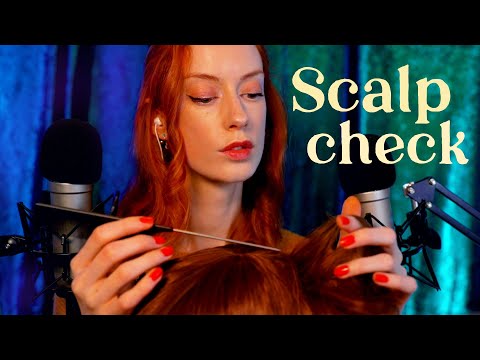 ASMR Relaxing Scalp Check 😴 Hair Brushing / Sectioning, Personal Attention