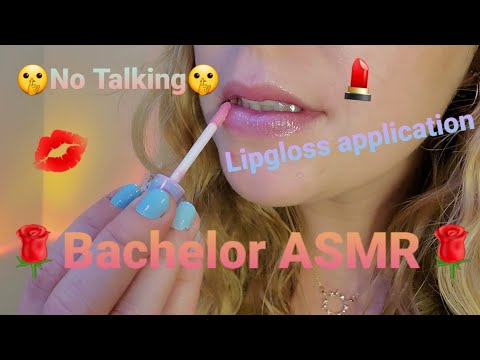 ASMR - LoFi Lipgloss Application 💋 No Talking