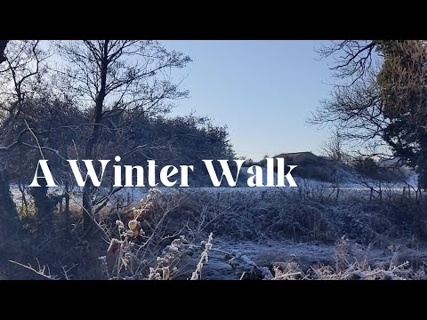 A Winter Walk (ASMR, catch up, soft spoken, crunching ice, nature sounds)