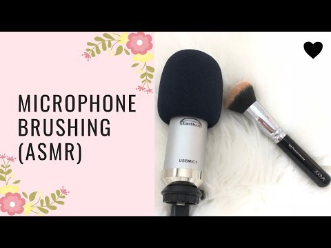 ASMR ♡ Mic Brushing