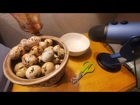 UNIQUE ASMR | Satisfying Quail Egg Cracking + Counting to 30