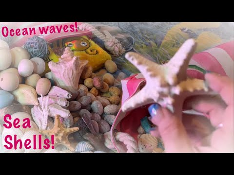 ASMR Sea shells Rummage & Beach Waves! (No talking only) Did we really find these at the beach? 🤭