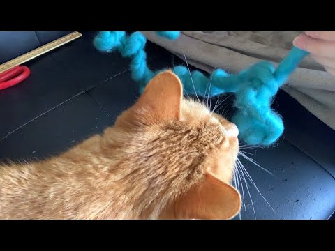 Playing With Yarn ASMR (SUPER RELAXING) 🧶