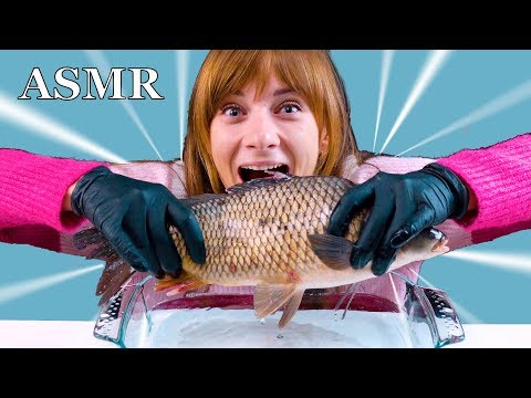 ASMR The Most Crazy Flopping Carp Eatingsound Realsound Mukbang LiLiBu ASMR