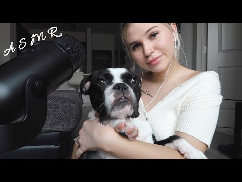 ASMR | Bringing Back Your Tingles | ft my puppy