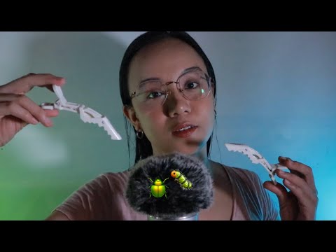 ASMR Bug Searching With Comb And Clips For Tingles