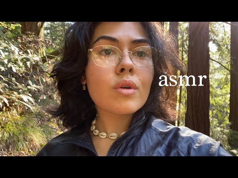 ASMR in the Redwood Forest