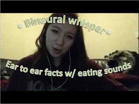 ASMR | Whispered ear to ear facts - eating crisps *request* + live stream announcement :)