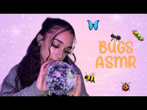 ASMR | Bug Search 🐜🐛🦋