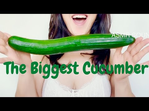 Watch Me Eating The Biggest Cucumber Ever ( ASMR )