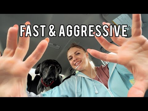 FAST & AGGRESSIVE ASMR IN THE CAR w/JACKSON 🐕‍🦺