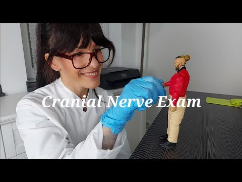 [Real Plastic Person ASMR] Full Body Cranial nerve Exam