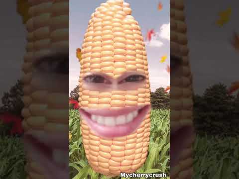Asmr corn