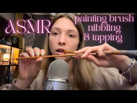 ASMR • painting brushes 🦋 (tapping, nibbling, brushing, tracing) ✨