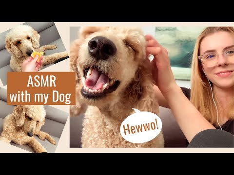 ASMR WITH MY DOG! - Taste Test & Hair Brushing 🐶