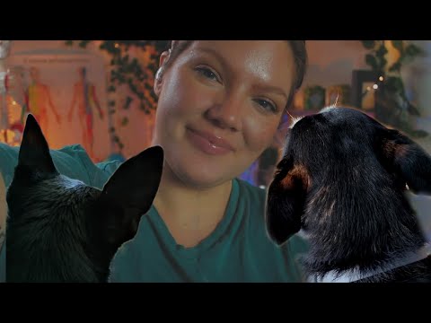 ASMR Veterinarian Exam with Dogs as REAL PATIENT | LoFi, Mouth Sounds, Ear Cleaning