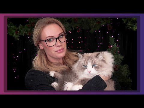 Have PRE-CHRISTMAS FUN with my CAT and I  🎄  [RELAXING ASMR]