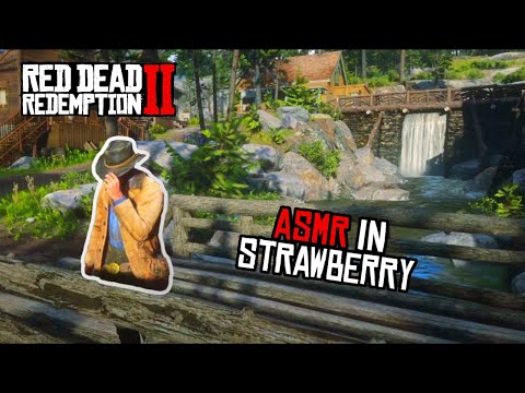 Red Dead ASMR 🐎 A Relaxing Ride & Tour of Strawberry 🍓 Close Ear to Ear Whispers