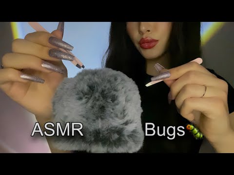 ASMR 🐛Fast Bugs Searching🪲Scalp Checking |Plucking, Fluffy Mic, No Talking|
