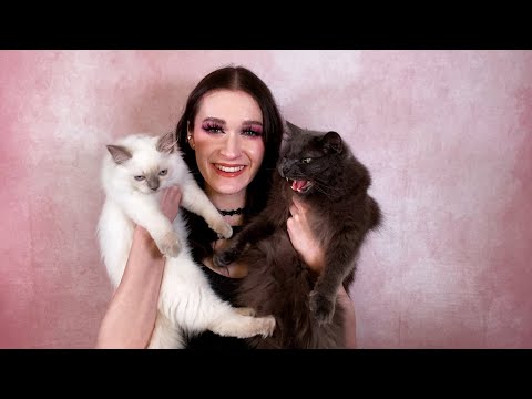 ASMR With My Cats 😻 CUTENESS OVERLOAD!