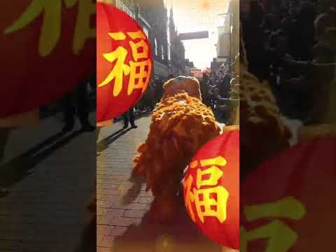 Dragon Dance - Chinese Lunar New Year Festival 🏮🐲 [Not ASMR] #shorts