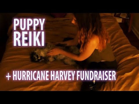 PUPPY REIKI- ENERGY HEALING FOR PETS