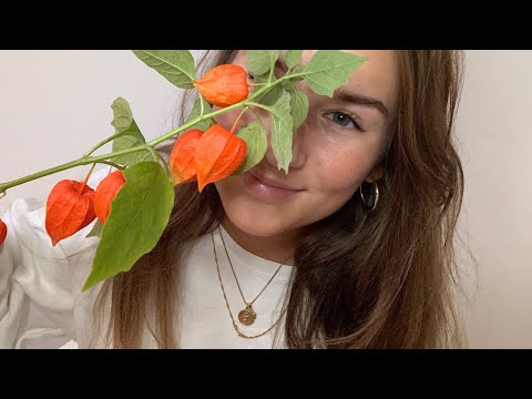 ASMR Different Autumn/Fall Triggers To Relax! No Talking / Blue Yeti