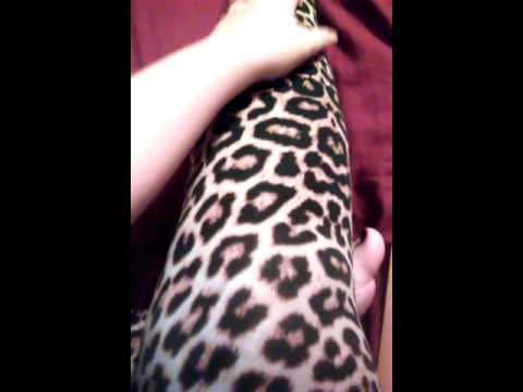 Rub my cheetah pants asmr