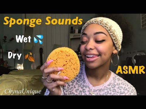 ASMR | Sponge Sounds | Wet 💦 | Dry 🍂