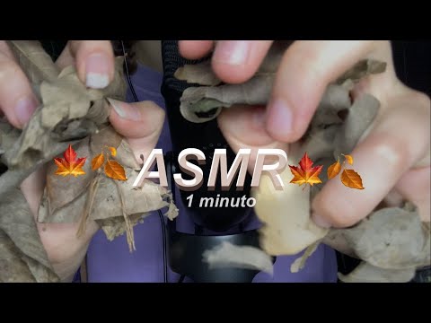 ASMR🍁Amassando folhas secas por 1 minuto pra você relaxar🍂🍁