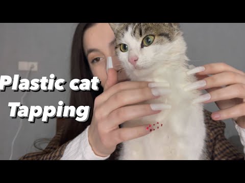 Asmr tapping on plastic cat 😄